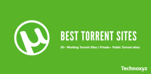 Best Torrent SItes