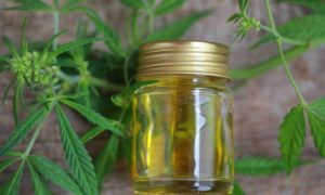 5 Tips For Buying The Right CBD Oil 6