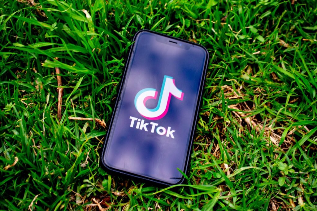 Trollishly: Is TikTok an Innovative Platform for Brands? 1