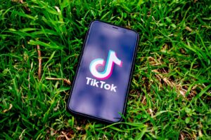 Trollishly: Is TikTok an Innovative Platform for Brands? 5