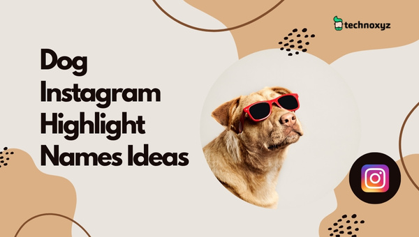 Dog Instagram Highlight Names Ideas (2023)