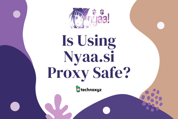 Is Using Nyaa.si Proxy Safe?