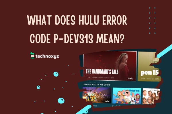 What Does Hulu Error Code P-Dev313 Mean?