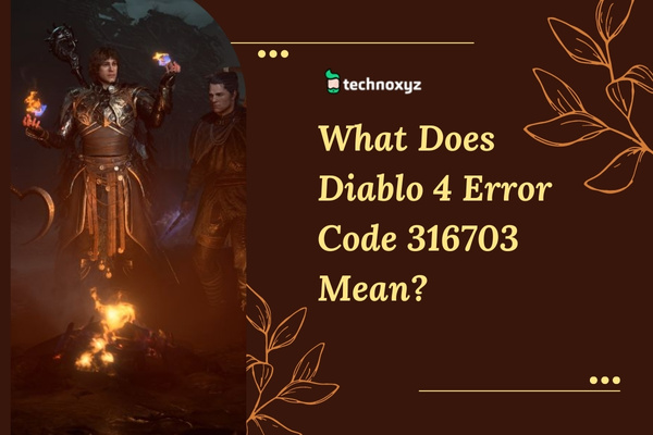 What Does Diablo 4 Error Code 316703 Mean?