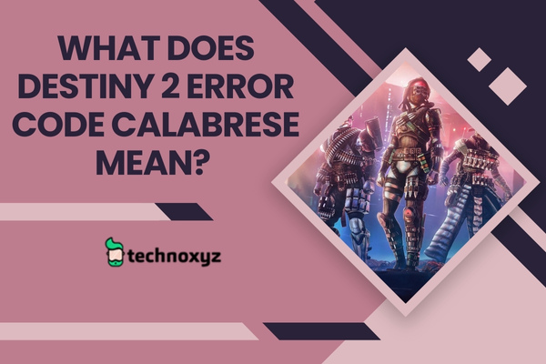 What Does Destiny 2 Error Code Calabrese Mean?