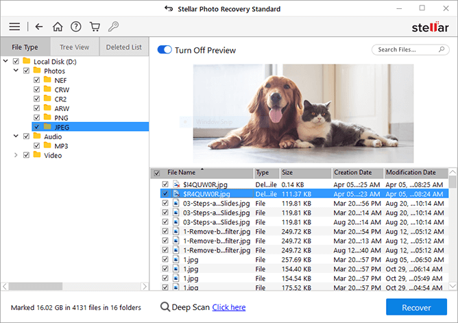 Simple Hacks to Recover Deleted Photos on Windows Device 6