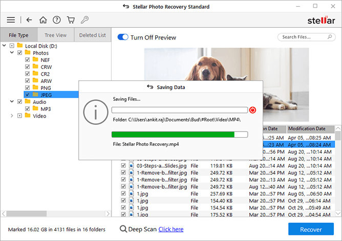 Simple Hacks to Recover Deleted Photos on Windows Device 7