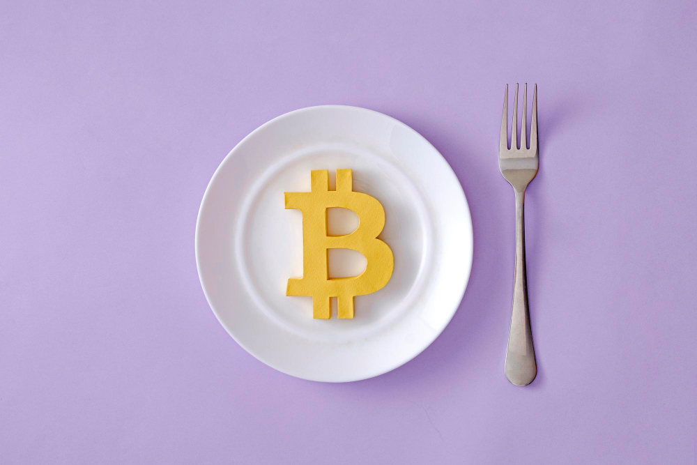 An Introduction to Bitcoin Forks: Understanding the Basics