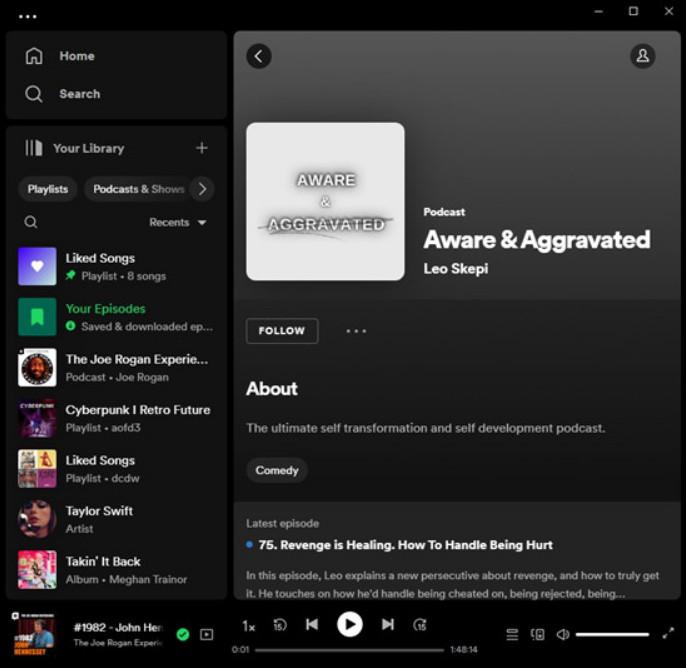 3 Best Ways to Download Spotify Podcasts on PC and Mobile 5