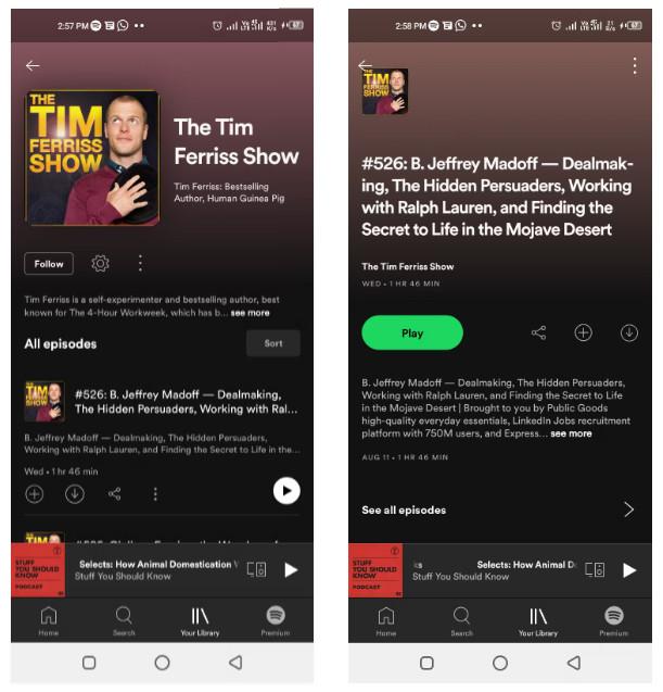 3 Best Ways to Download Spotify Podcasts on PC and Mobile 6