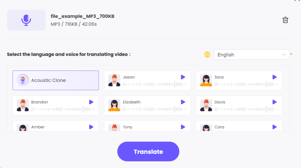 The Best Video Translator Online and Its 3 Alternatives in 2024 4
