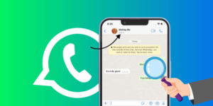 ways to monitor whatsApp activity