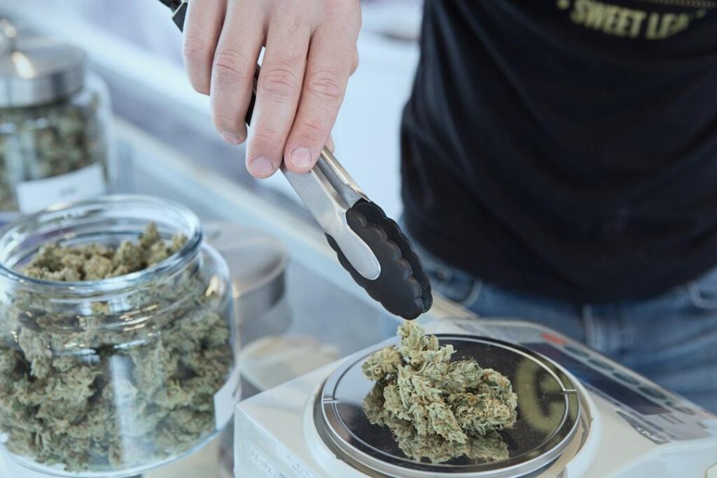 How to Source Quality THCA Flower: Tips for Discerning Retailers 2 How to Source Quality THCA Flower: Tips for Discerning Retailers 2